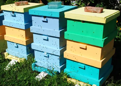 УЛЬИ ПЧЕЛЫ | Домик для пчел, Пенопласт, Изготовление скворечника