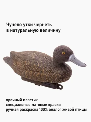 Чучело утки чернеть для охоты Duck Expert 39711591 купить в  интернет-магазине Wildberries