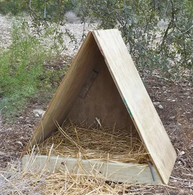 Самостоятельное сооружение гнезд для индоуток. Как сделать утятник своими  руками: что обязательно учесть