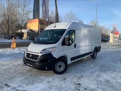 Fiat Ducato Cargo - Fiat Professional