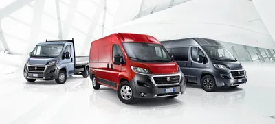 Fiat Ducato Cargo - Fiat Professional