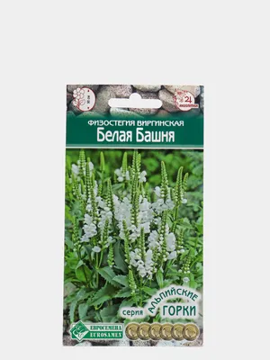 Физостегия виргинская БЕЛАЯ БАШНЯ, семена цветов за 81 ₽ купить в  интернет-магазине KazanExpress