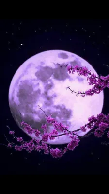Красивая луна - 59 фото