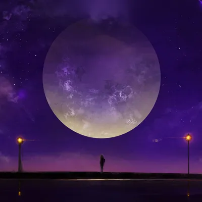 фиолетовая луна и силуэт кактус в пустыне на ночном небе Стоковое  Изображение - изображение насчитывающей ñ†ð²ðµñ‚oðº, ðºð°ðºñ‚ñƒñ : 218476269