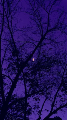 Спокойной ночи рисованной мультфильм луна справочные материалы, Рисованной,  Мультфильм луна, Фиолетовый фон фон картинки и Фото для бесплатной загрузки