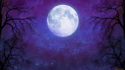 Ночное небо с луной - 59 фото