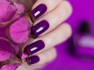 Фиолетовый шеллак маникюр (51 фото)