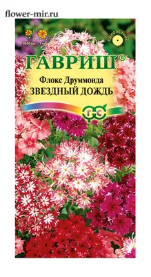 Флокс Друммонда Звездный Дождь Смесь 0,1 гр. купить оптом в Томске по цене  15,53 руб.