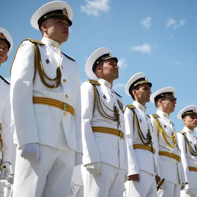 Поздравление командующего Черноморским флотом с Днем ВМФ - СевКор - Новости  Севастополя