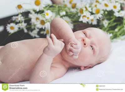 Мальчик (1 месяц) стоковое изображение. изображение насчитывающей  усаживание - 39824591