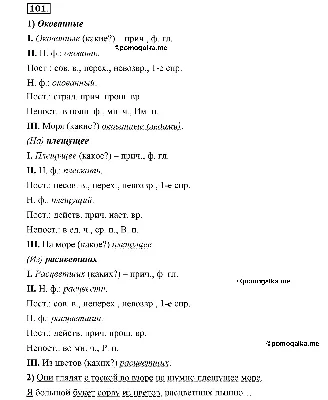 Глава 5. Упражнение №101 - ГДЗ по русскому языку 6 класс Шмелёв, Флоренская  с подробным пояснением