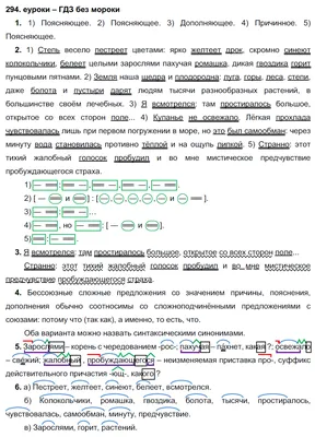 ГДЗ Русский Разумовская 9 класс № 294 | Получи за д/з 5