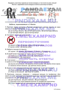 16.11.2022 Конкурс Русский медвежонок 4-5 класс 2022-2023 (официальные  задания и ответы) - PANDAEXAM