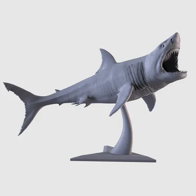 Полимерные украшения, аниме ремесла, украшения в виде большой белой акулы,  модель животного, гигантская Акула, каннибал, Акула - купить по выгодной  цене | AliExpress