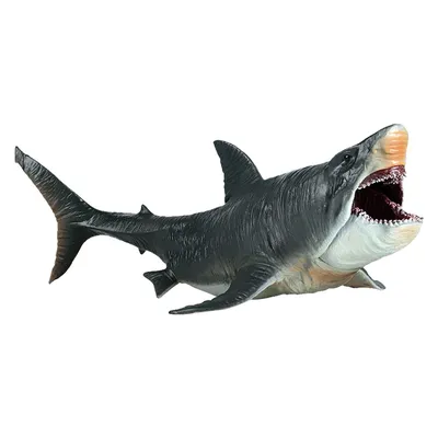 большая белая акула в подводном ландшафте Иллюстрация штока - иллюстрации  насчитывающей рыбы, опасно: 234060756