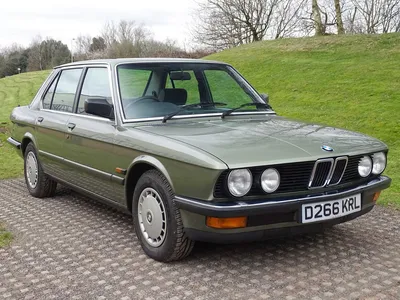 Файл:BMW 520i 1987 года (33363761040).jpg — Викисклад