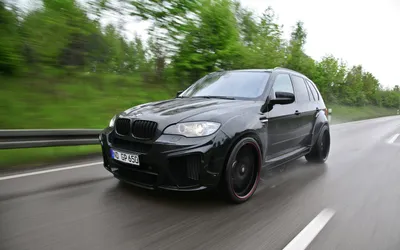 Решетка ноздри bmw x5 f15 x6 f16 f85 f86 черный polys в Украине