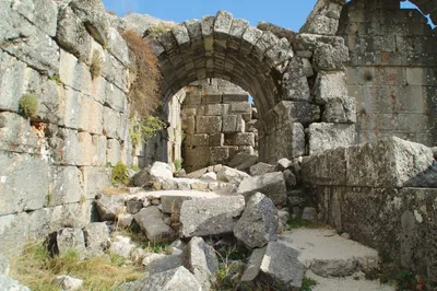 Могила жрицы богини Афродиты обнаружена в руинах древнего черноморского  города