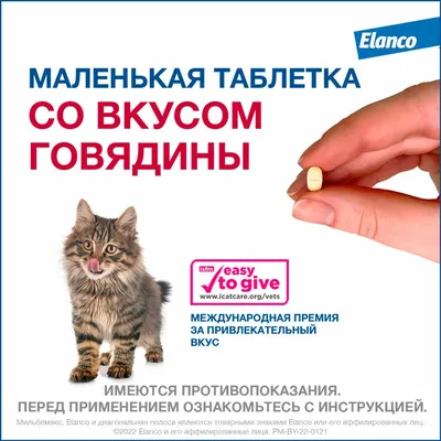 Распространеные у котов заболевания, связанные с питанием: дефицит таурина;  гипервитаминоз А | Husse Украина