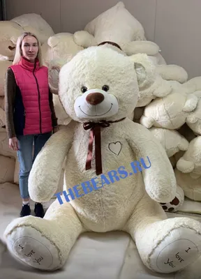 Огромный плюшевый медведь 270см Омск
