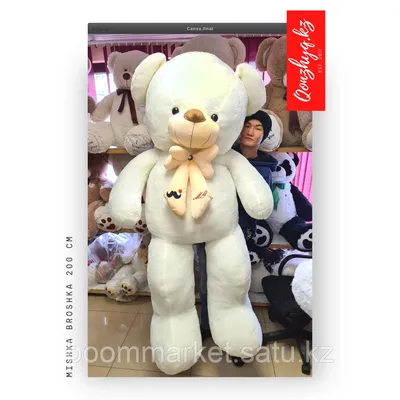200 см ( 2 метр ) Плюшевый медведь Брошка (цвет: белый) оптом и в розницу |  Мягкие игрушки | Большие мишки (id 96277282)