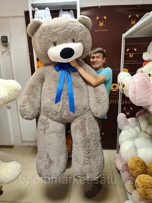 220 см (2.2 метр ) Огромный Плюшевый медведь Тимми (цвет: тёмно-серый) |  Мягкие игрушки | Большие мишки (id 96277231)