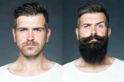 Как выбрать бороду и усы | Сам себе риэлтор | Дзен