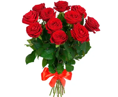 Букет алых роз заказать с доставкой в Кировское