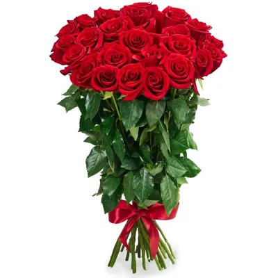 Букет из 25 красных роз Премиум (80 см) купить недорого, доставка - магазин  цветов Абари в Омске