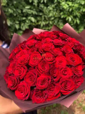 Букет красных роз 51 шт Эквадор 60 см купить от 10900 руб. в  интернет-магазине шаров с доставкой по СПб