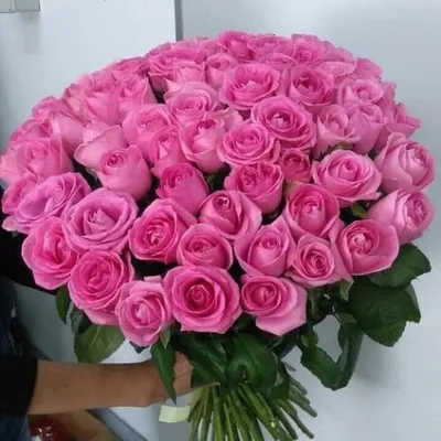 Букет из 75 розовых роз в Уральске заказать с доставкой 🌷