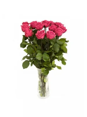 Букет из 13 роз с доставкой на дом или в офис. Дон Фион.ру