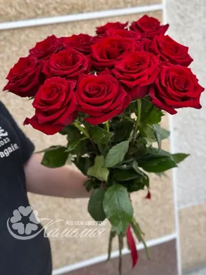 Купить 13 красных роз в модном оформлении model №665 в Новосибирске