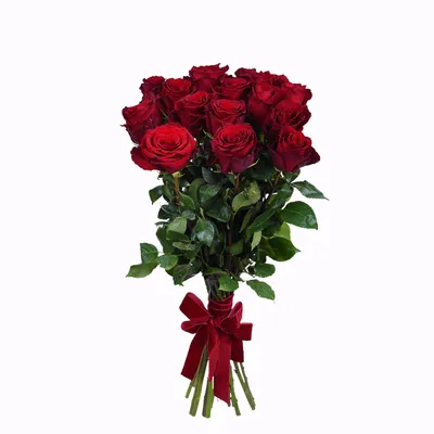 13 красных роз | «Тепличка» - Доставка цветов в Уфе