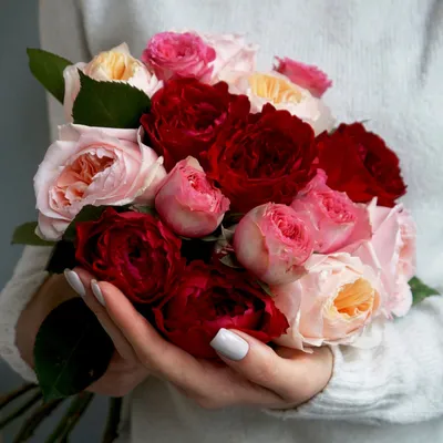 Букет из 13 кенийских роз» - купить в Йошкар-Оле за 6 230 руб