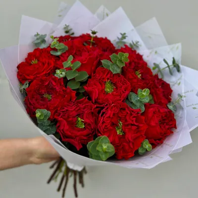 Букет из 13 белых роз (Россия) с лентой 60 см - купить цветы с доставкой по  Москве и МО от 2290 руб | «Букет-Маркет»