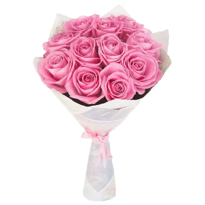 Букет из 13 роз №17 — Розы — Каталог — Салон цветов «Комплимент»