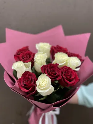 Букет 13 красных метровых роз, Цветы и подарки в Новокузнецке, купить по  цене 5500 RUB, Монобукеты в Цветы и Мишки с доставкой | Flowwow