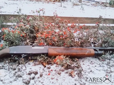 Winchester 1300 Ranger | Пикабу