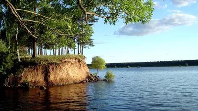 Уровень воды в реке Волга - Фиш Тим Россия