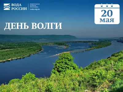 Командная игра “Сохраним Волгу!” - Муниципальное бюджетное  общеобразовательное учреждение г. Астрахани