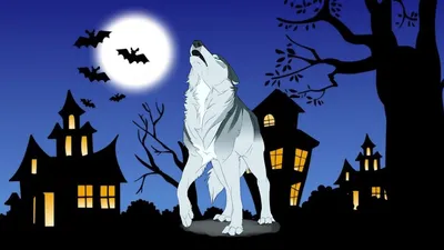 Почему волки воют на луну, мифы и истинные причины. | Mr. Всезнай | Дзен