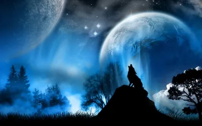 Волк воющий на луну обои. Обои волки | Fantasy wolf, Wolf background, Wolf  wallpaper