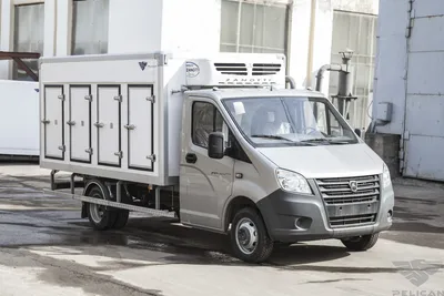 Купить фургон мороженицу ГАЗель NEXT в комплектации Plastic Van в Москве |  Pelican.van