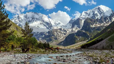 Горы Кавказа (29 фото)