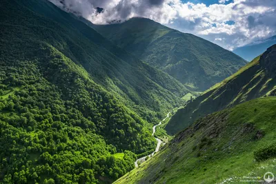 Горы и башни Чеченской Республики.... - ©Abdullah Bersaev | Facebook