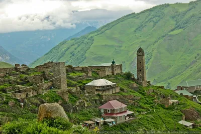Горы Чечни: Ущелье Шаро-Аргун, селения Химой и Шарой. Фото. | Красивые  места, Кочи, Башня