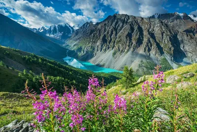 Туры на Алтай 2022-2023 • Купить, Заказать • Цена на экскурсии |  GuideAdvisor, Алтай