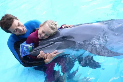 Дельфинотерапия: советы, отзывы. Правила плавания с дельфинами