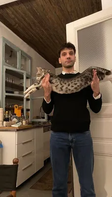 Каан Урганджиоглу показал гимнастику для кота! • Турецкие сериалы -  новости, обзоры, рейтинги